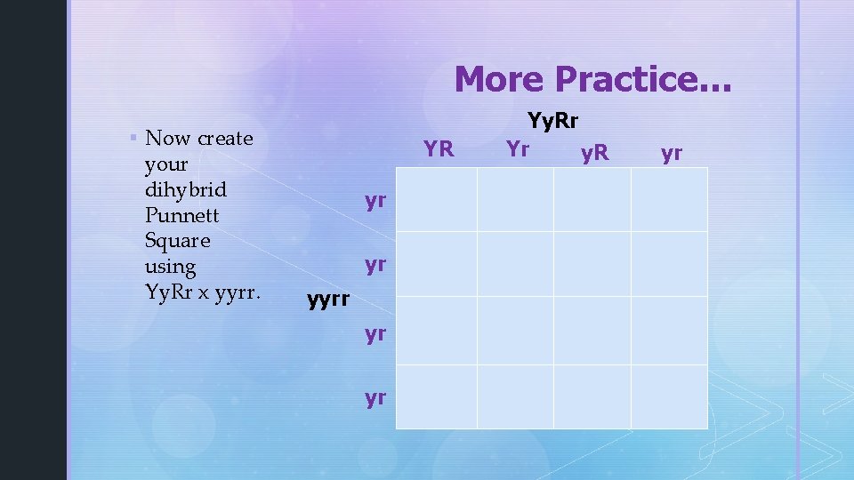 More Practice… § Now create your dihybrid Punnett Square using Yy. Rr x yyrr.