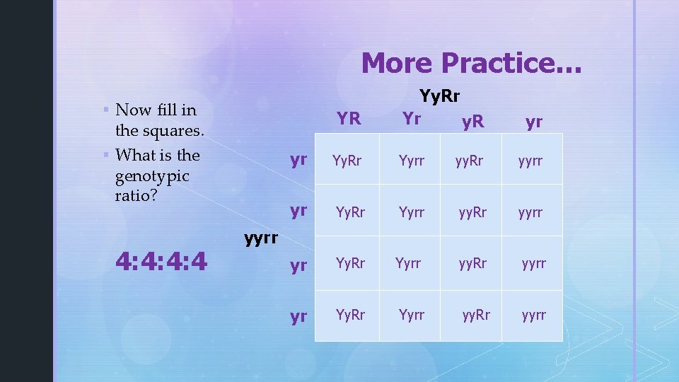 More Practice… § Now fill in YR the squares. § What is the genotypic