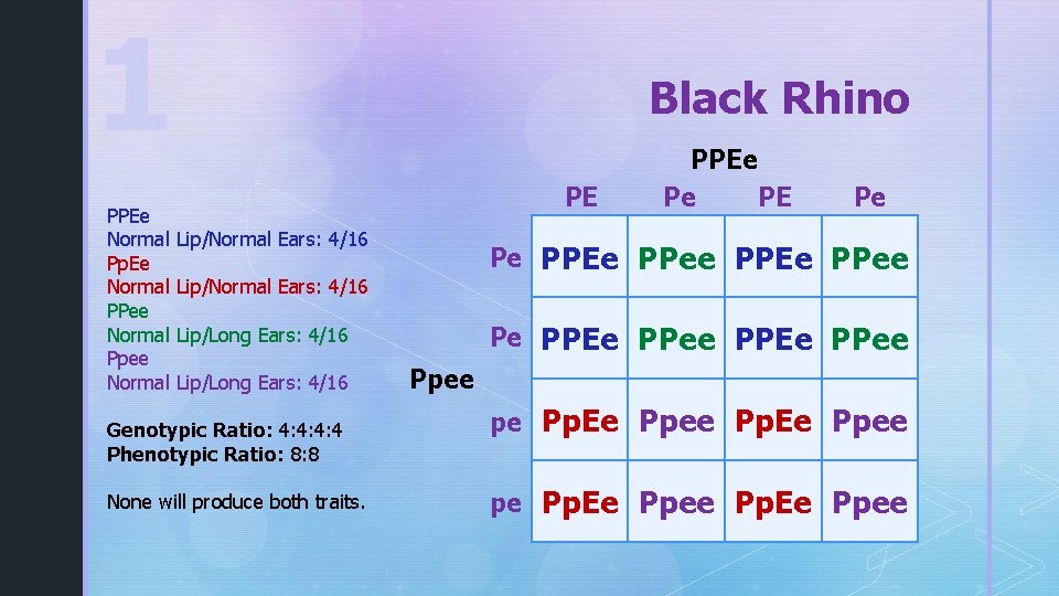 1 PPEe Normal Pp. Ee Normal PPee Normal Ppee Normal Black Rhino PE Lip/Normal