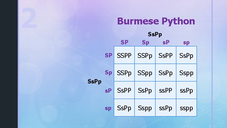 2 Burmese Python Ss. Pp Sp s. P sp SP SSPp Ss. PP Ss.