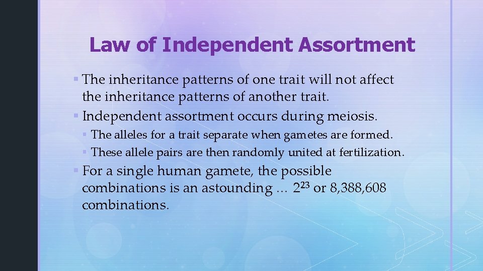 Law of Independent Assortment § The inheritance patterns of one trait will not affect