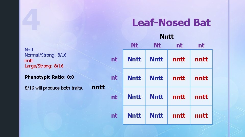 4 Leaf-Nosed Bat Nt Nntt Nt nt nt Nntt Normal/Strong: 8/16 nntt Large/Strong: 8/16