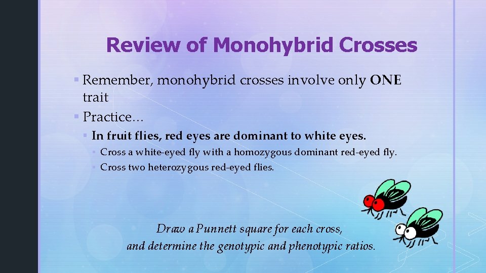 Review of Monohybrid Crosses § Remember, monohybrid crosses involve only ONE trait § Practice…