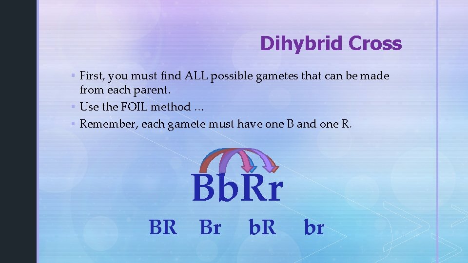 Dihybrid Cross § First, you must find ALL possible gametes that can be made