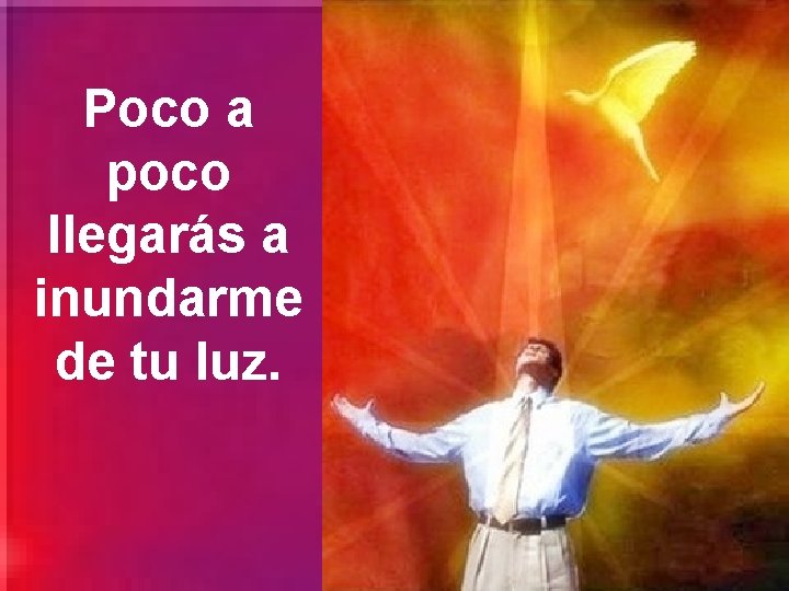 Poco a poco llegarás a inundarme de tu luz. 