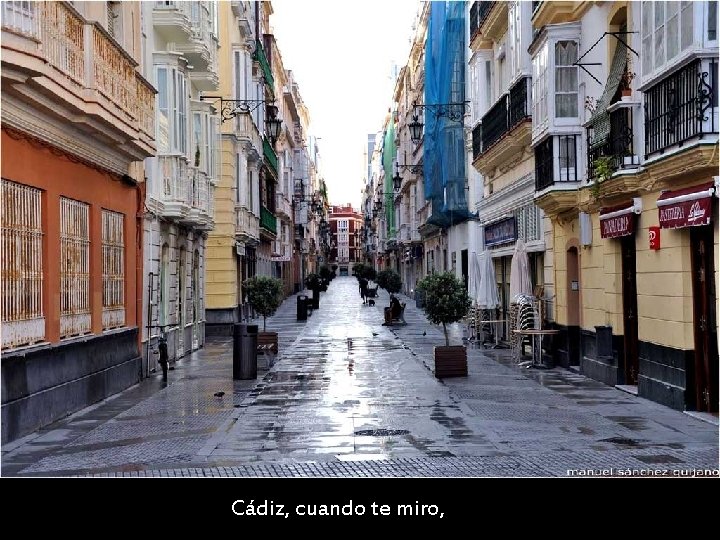 Cádiz, cuando te miro, 