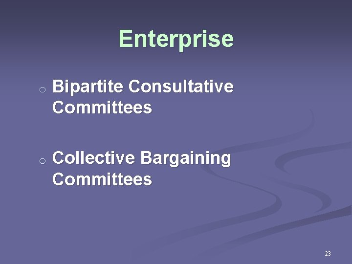 Enterprise o Bipartite Consultative Committees o Collective Bargaining Committees 23 