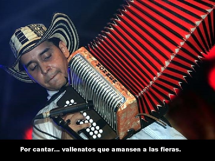 Por cantar. . . vallenatos que amansen a las fieras. 