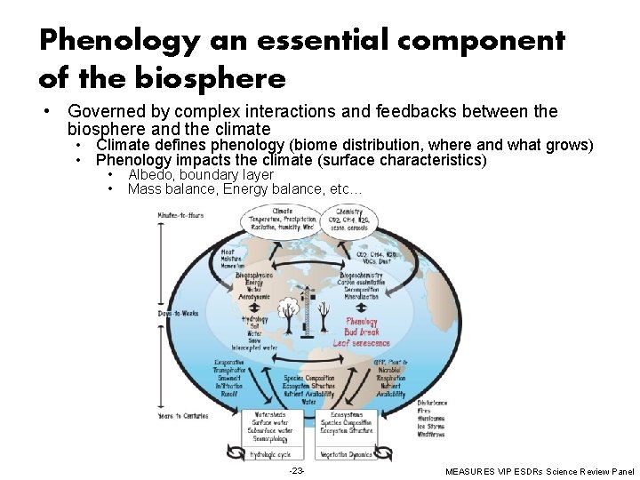 Phenology an essential component of the biosphere • Governed by complex interactions and feedbacks