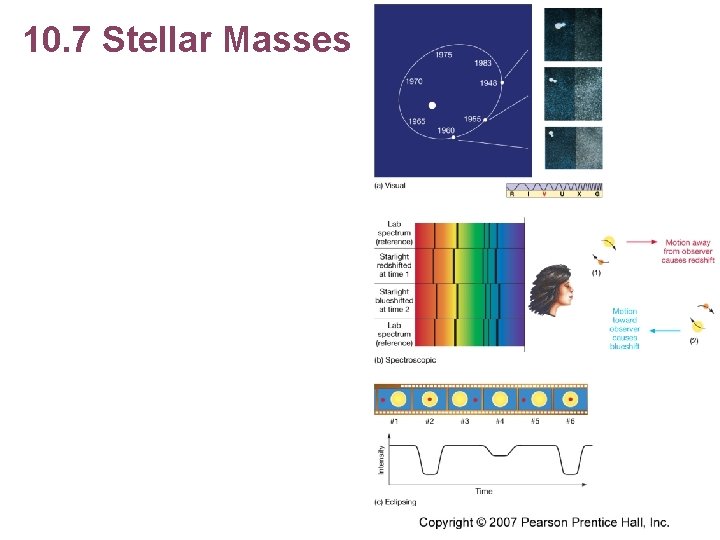 10. 7 Stellar Masses 