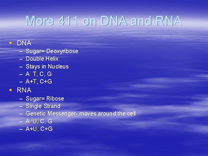 More 411 on DNA and RNA § DNA – – – Sugar= Deoxyribose Double