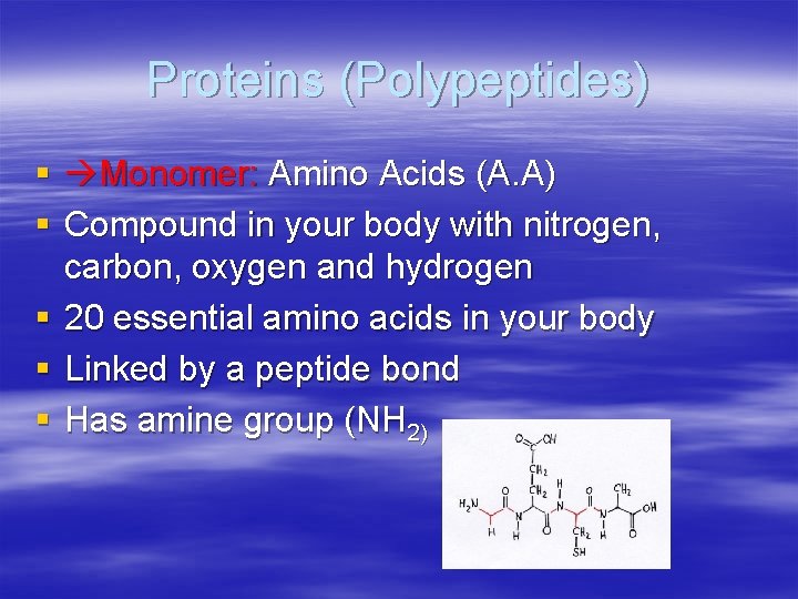 Proteins (Polypeptides) § Monomer: Amino Acids (A. A) § Compound in your body with