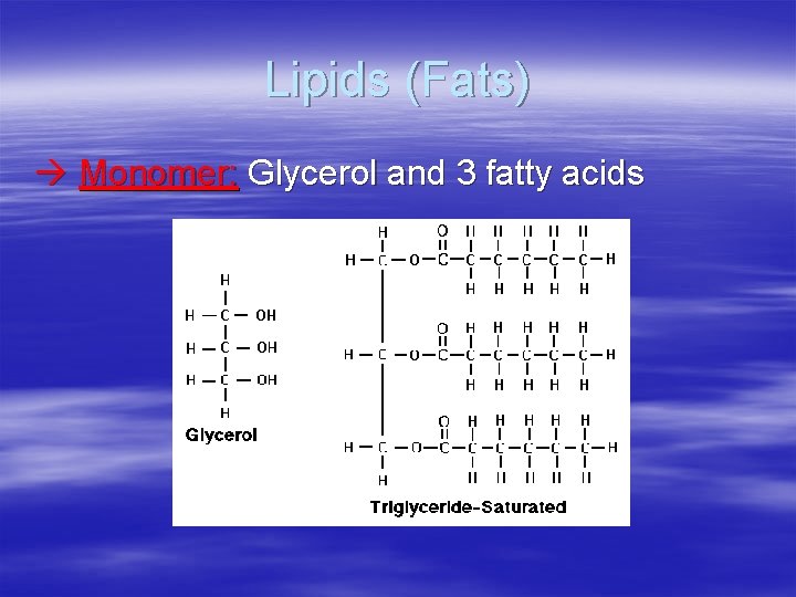 Lipids (Fats) Monomer: Glycerol and 3 fatty acids 