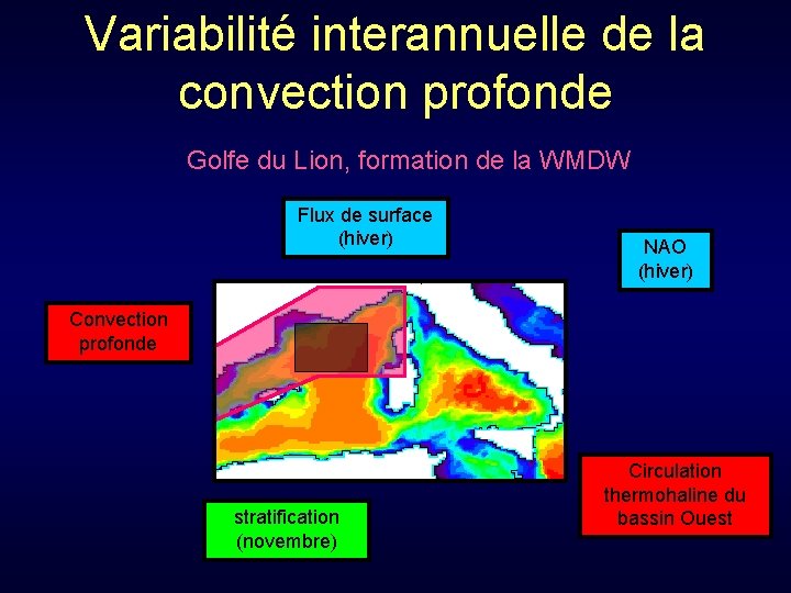 Variabilité interannuelle de la convection profonde Golfe du Lion, formation de la WMDW Flux