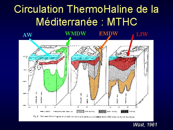 Circulation Thermo. Haline de la Méditerranée : MTHC AW WMDW EMDW LIW Wüst, 1961