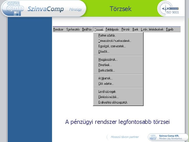 Törzsek A pénzügyi rendszer legfontosabb törzsei 