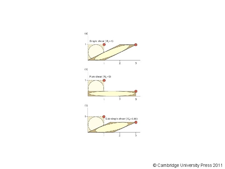 © Cambridge University Press 2011 