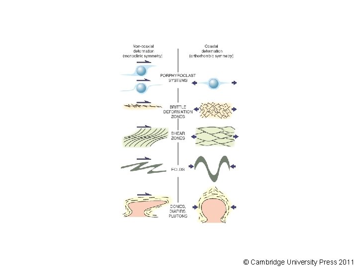 © Cambridge University Press 2011 