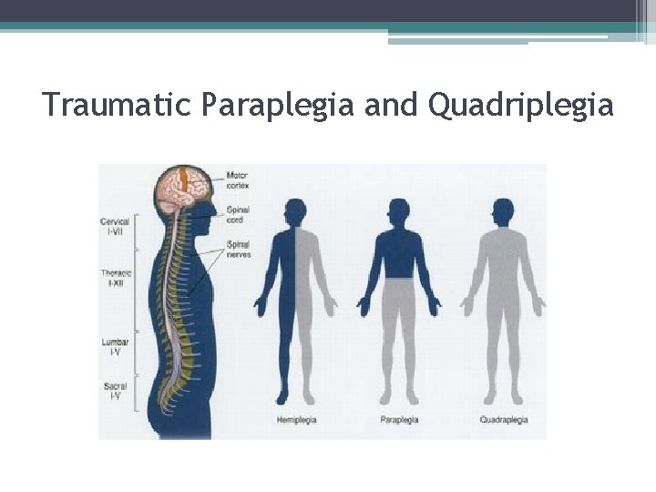 Traumatic Paraplegia and Quadriplegia 