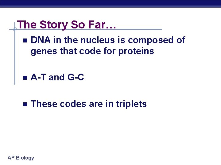 The Story So Far… n DNA in the nucleus is composed of genes that