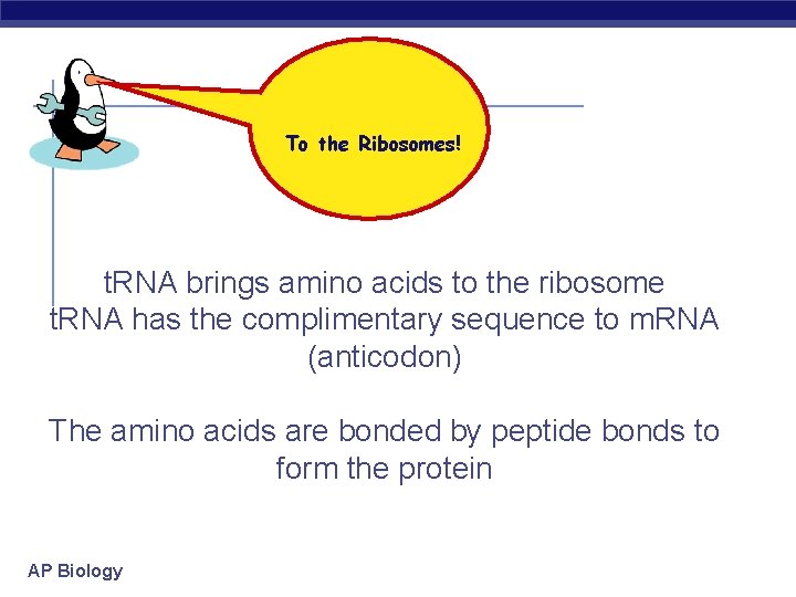 To the Ribosomes! t. RNA brings amino acids to the ribosome t. RNA has
