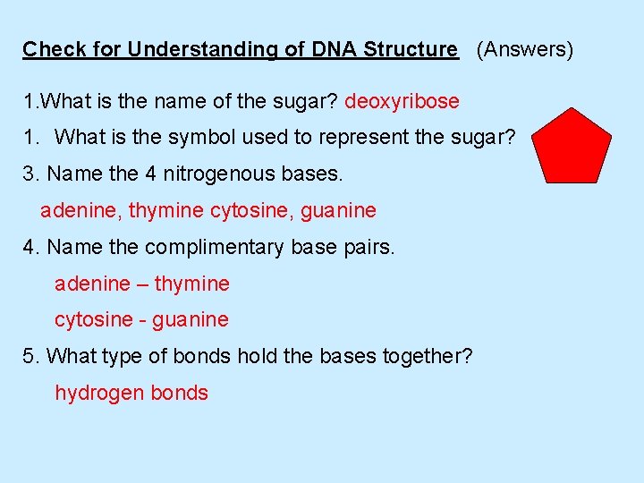 Check for Understanding of DNA Structure (Answers) 1. What is the name of the