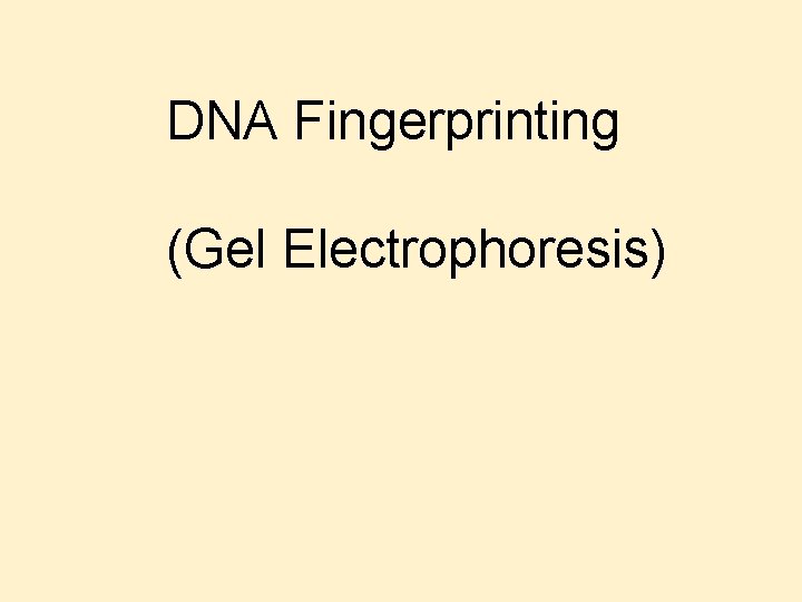 DNA Fingerprinting (Gel Electrophoresis) 