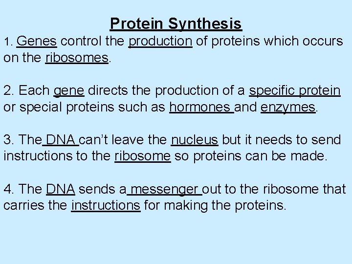 Protein Synthesis 1. Genes control the production of proteins which occurs on the ribosomes.