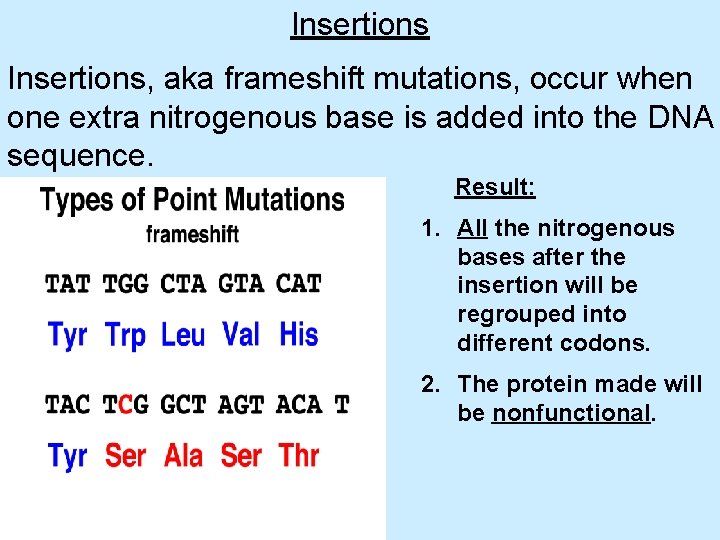 Insertions, aka frameshift mutations, occur when one extra nitrogenous base is added into the