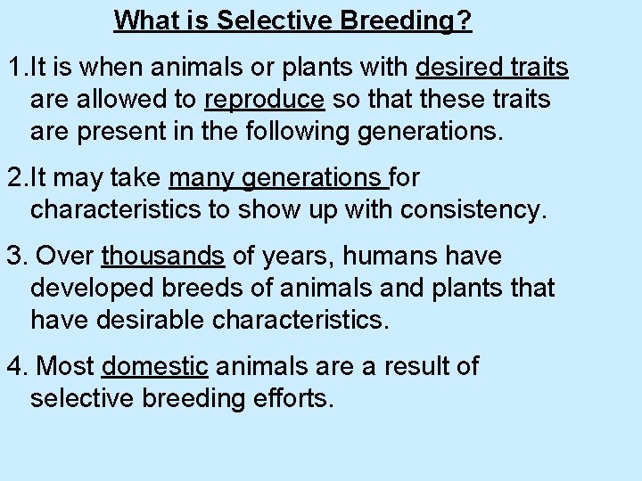 What is Selective Breeding? 1. It is when animals or plants with desired traits