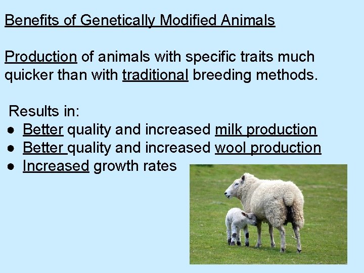Benefits of Genetically Modified Animals Production of animals with specific traits much quicker than