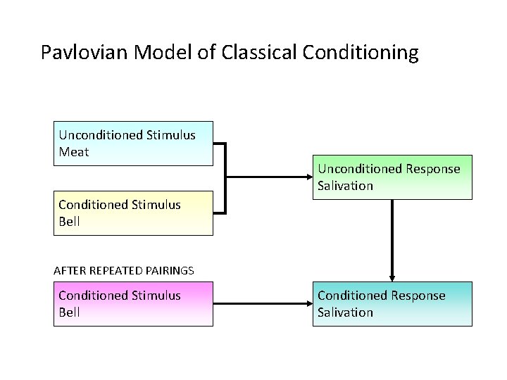 Pavlovian Model of Classical Conditioning Unconditioned Stimulus Meat Unconditioned Response Salivation Conditioned Stimulus Bell