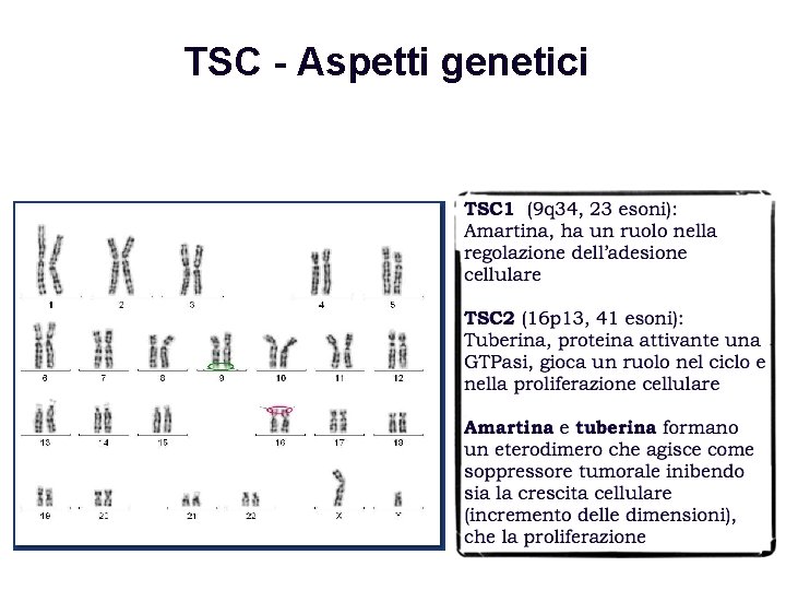 TSC - Aspetti genetici 