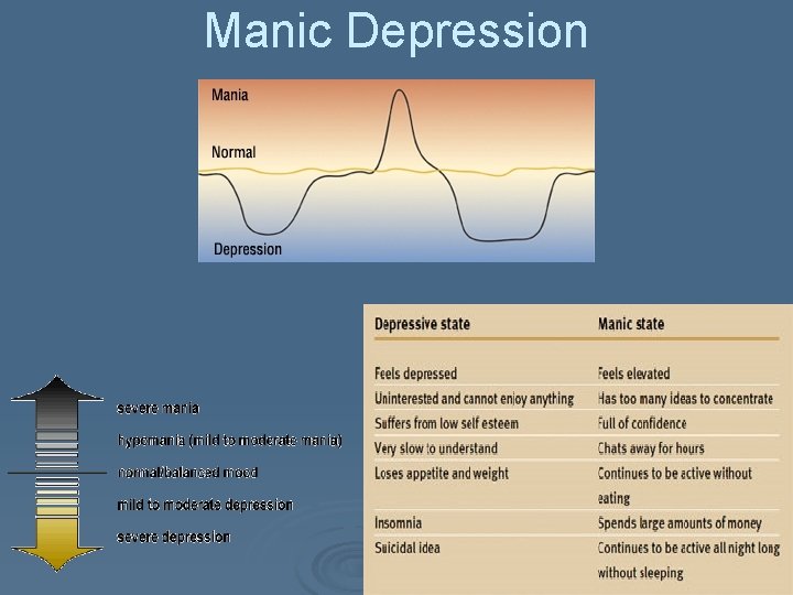 Manic Depression 