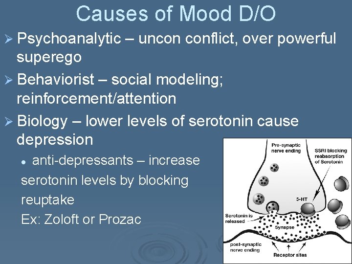 Causes of Mood D/O Ø Psychoanalytic – uncon conflict, over powerful superego Ø Behaviorist