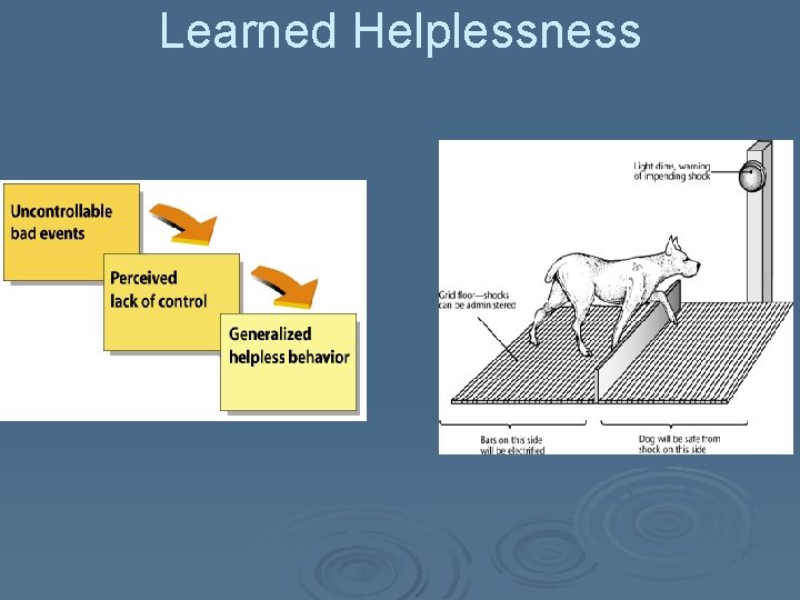 Learned Helplessness 