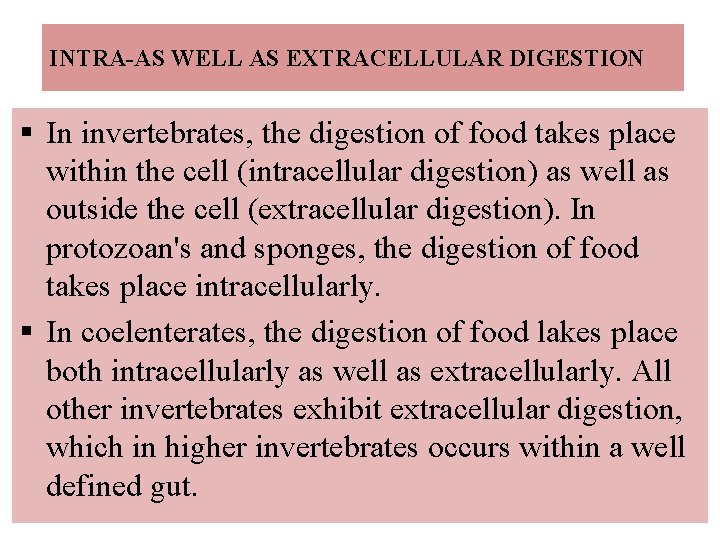 INTRA-AS WELL AS EXTRACELLULAR DIGESTION § In invertebrates, the digestion of food takes place