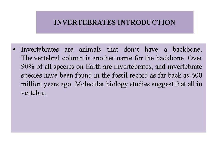 INVERTEBRATES INTRODUCTION • Invertebrates are animals that don’t have a backbone. The vertebral column