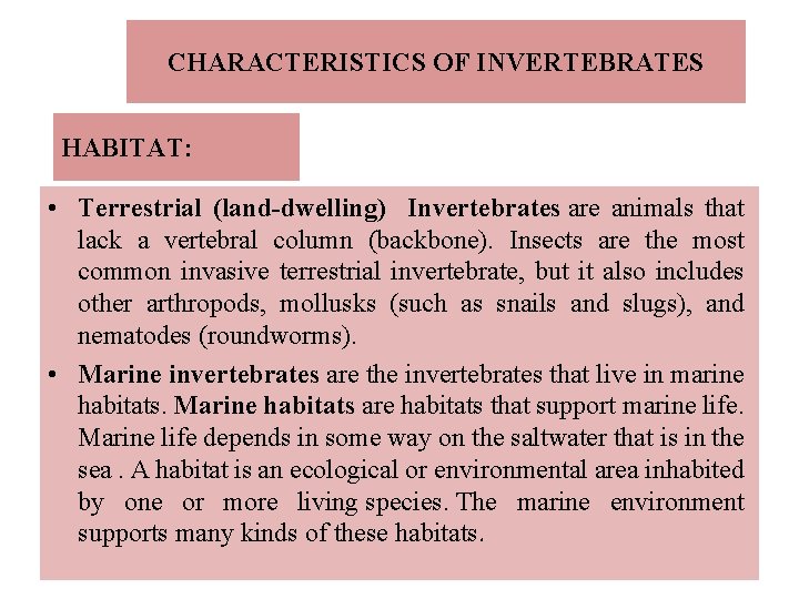 CHARACTERISTICS OF INVERTEBRATES HABITAT: • Terrestrial (land-dwelling) Invertebrates are animals that lack a vertebral