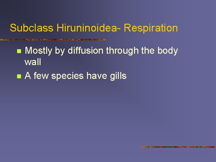 Subclass Hiruninoidea- Respiration n n Mostly by diffusion through the body wall A few