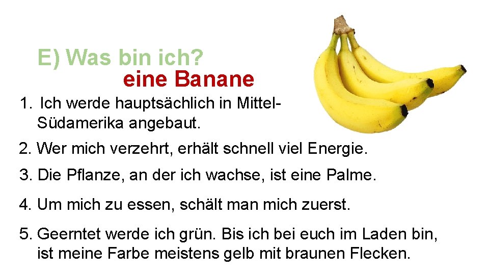 E) Was bin ich? eine Banane 1. Ich werde hauptsächlich in Mittel. Südamerika angebaut.