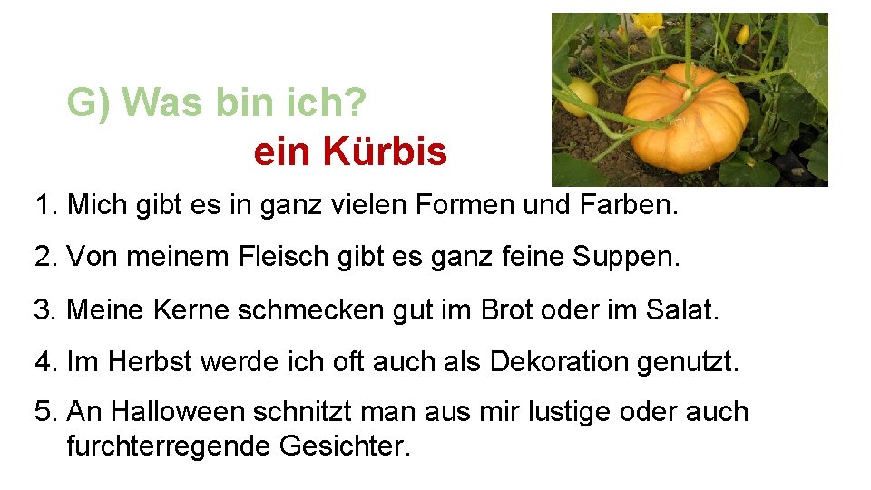 G) Was bin ich? ein Kürbis 1. Mich gibt es in ganz vielen Formen