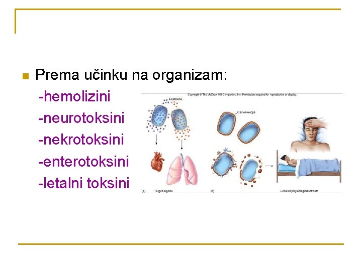 n Prema učinku na organizam: -hemolizini -neurotoksini -nekrotoksini -enterotoksini -letalni toksini 