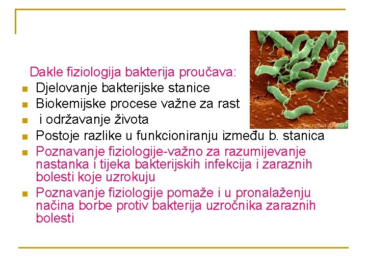 Dakle fiziologija bakterija proučava: n Djelovanje bakterijske stanice n Biokemijske procese važne za rast