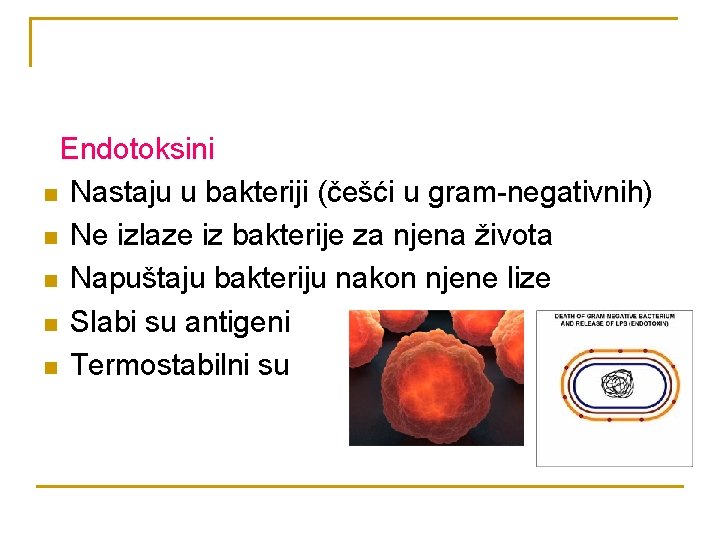 Endotoksini n Nastaju u bakteriji (češći u gram-negativnih) n Ne izlaze iz bakterije za