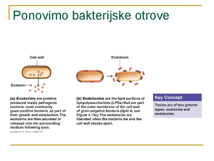 Ponovimo bakterijske otrove 