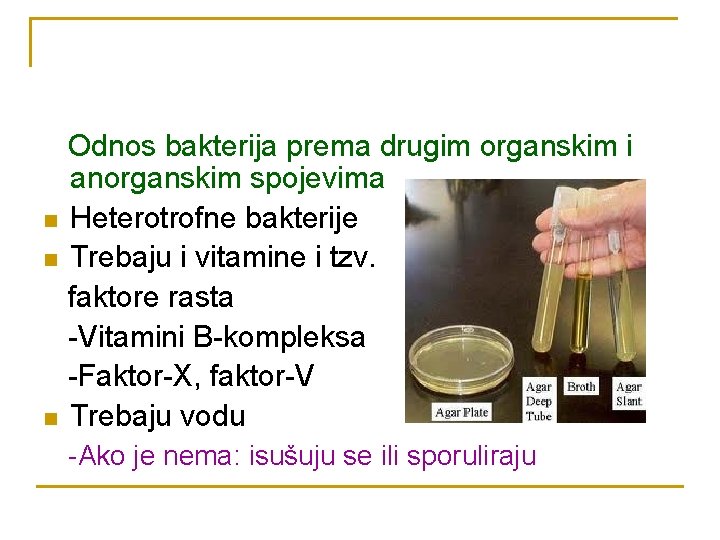 n n n Odnos bakterija prema drugim organskim i anorganskim spojevima Heterotrofne bakterije Trebaju