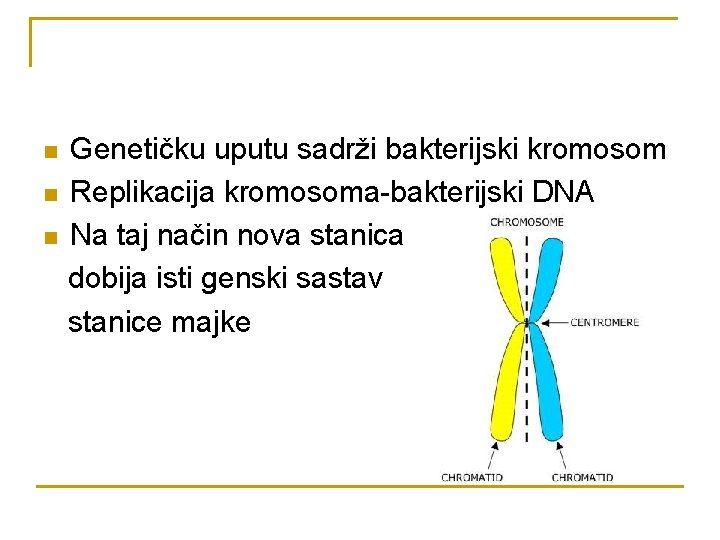 n n n Genetičku uputu sadrži bakterijski kromosom Replikacija kromosoma-bakterijski DNA Na taj način