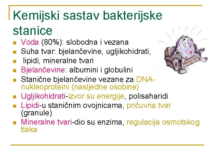 Kemijski sastav bakterijske stanice n n n n Voda (80%): slobodna i vezana Suha