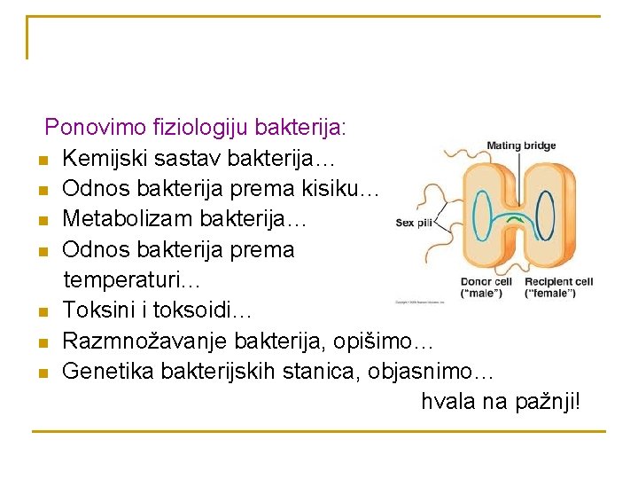 Ponovimo fiziologiju bakterija: n Kemijski sastav bakterija… n Odnos bakterija prema kisiku… n Metabolizam